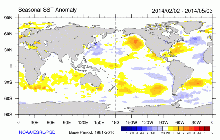 Warm SST anomaly across the Northeast Pacific