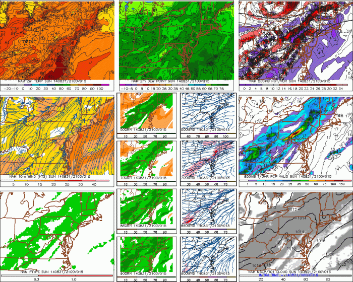 6z NAM showing a surface temps middle to upper 80s in most areas with dews in 60s (top left). Also a shortwave trough approaching trigging showers and thunderstorms west of New York City