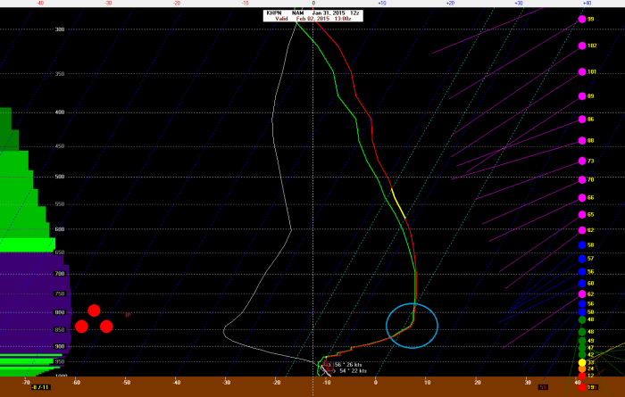 6z NAM showing warm nose between 800-900mb